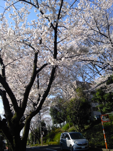 120410_074122.jpg
