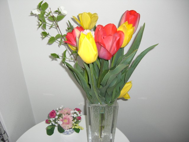 CIMG0830.JPG