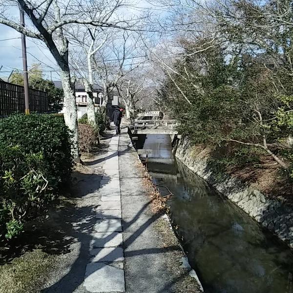 京都に行ってきました！