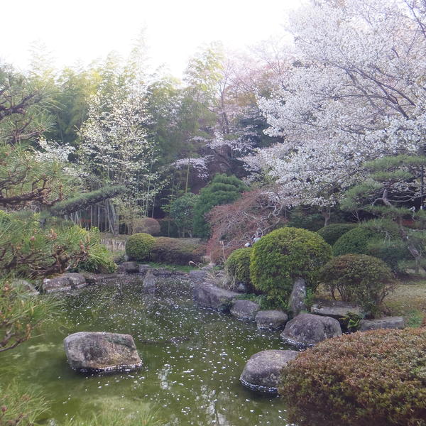 お花畑