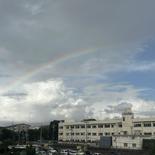 今年の夏は