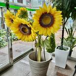 「緑と季節のお花でお出迎え」