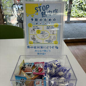 暑い季節のやさしい備え