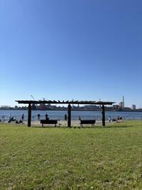 IMG_5594.jpeg