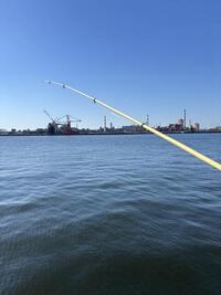 IMG_5592.jpeg